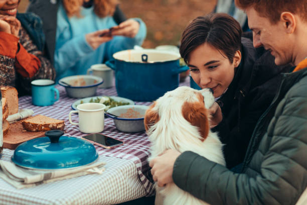 istock Al Fresco Meal 1144751960