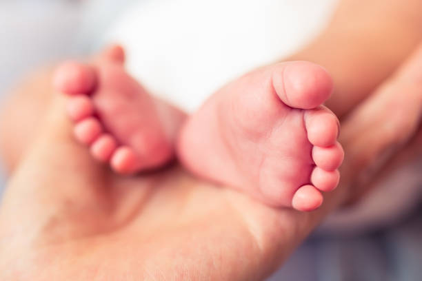 istock Close-up baby feet in mother hands 1144755839