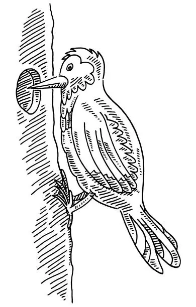 Vector illustration of Cartoon Woodpecker Bird On Tree Drawing