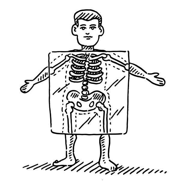 Cartoon Human Figure X-Ray Skeleton Drawing Hand-drawn vector drawing of a X-Ray Skeleton of a Cartoon Human Figure. Black-and-White sketch on a transparent background (.eps-file). Included files are EPS (v10) and Hi-Res JPG. clip art of rib cage stock illustrations