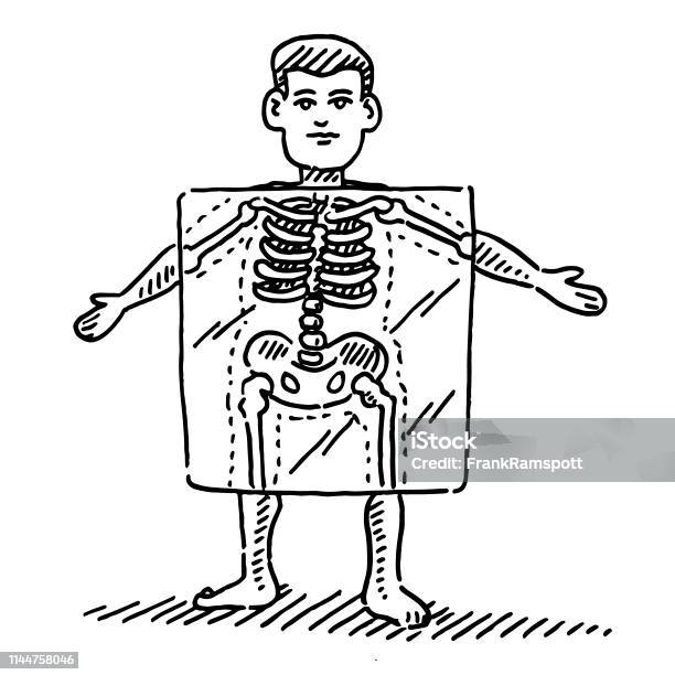 Cartoon Human Figure Xray Skeleton Drawing Stock Illustration - Download Image Now - Cartoon, Bone, Human Rib Cage