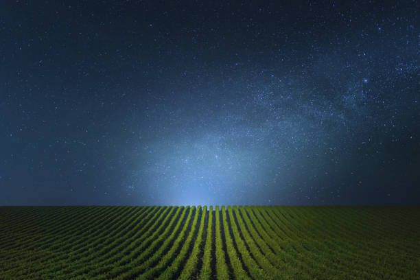 Blue clear Night over the vineyards. The Milky way over the vineyards. winemaking photos stock pictures, royalty-free photos & images