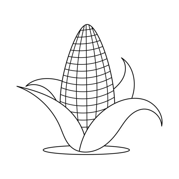 Isolated Black And White Corn In Cartoon Style Stock Illustration -  Download Image Now - Agriculture, Autumn, Beauty In Nature - iStock