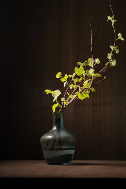 istock Grape branches with sprout and buds arranged in a vase on wooden table 1144765928