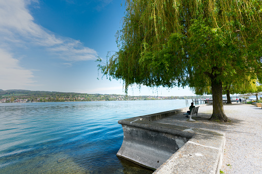 Steckborn, TG / Switzerland - 22 April 2019: tourist enjoys a break under a willow on the shores on Lake Constance in Steckborn