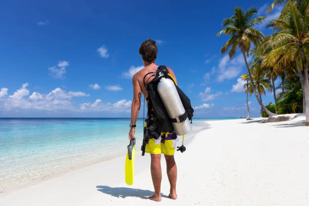 Male scuba diver is ready to go for a dive in the Maldives Male scuba diver with equipment stands on a tropical beach in the Maldives and is ready to go for a dive diving equipment stock pictures, royalty-free photos & images