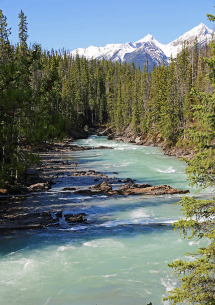 istock Kicking Horse River vertical 1144769186