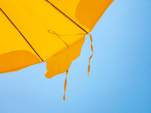 A real holiday under the umbrella!