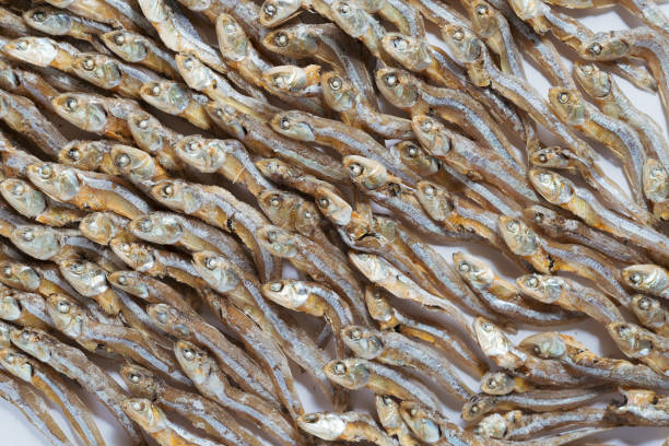 Arranged small dried fish pattern