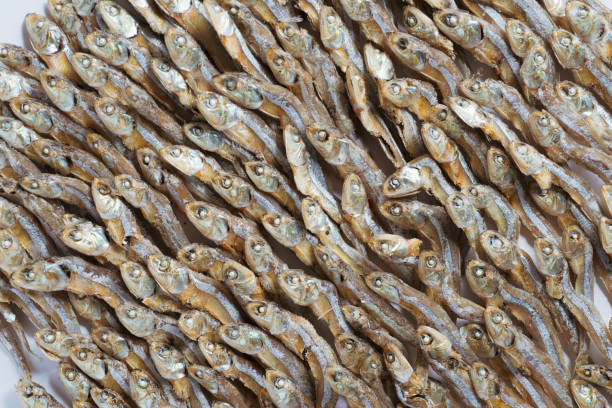 Arranged small dried fish pattern