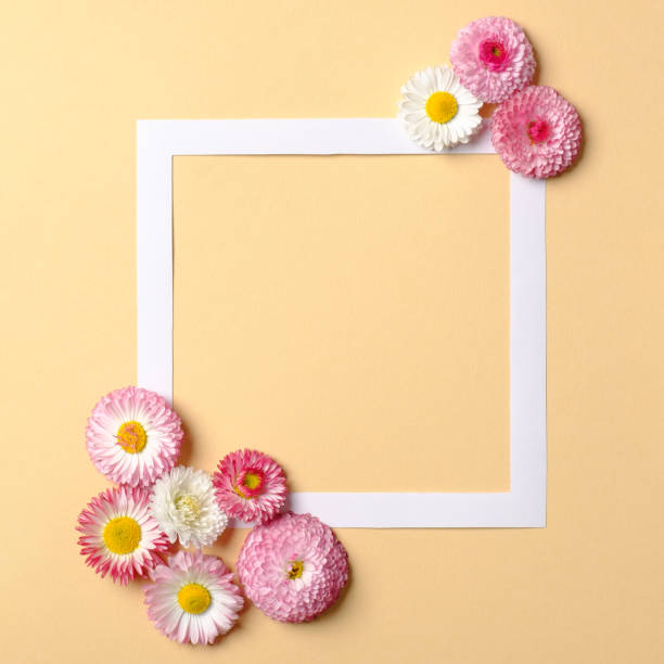 istock Frame border with daisy flowers on pastel yellow background. Flat lay style, spring nature concept. Abstract minimal composition. Trendy greeting card mockup. Top view, overhead. 1144771584