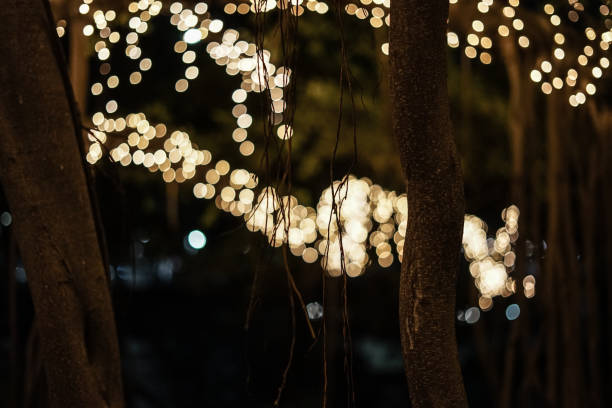 istock Branches in the front of fairy lights 1144772520