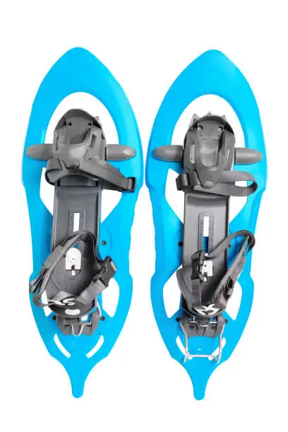 Colorful snowshoes studio shot. Winter hiking equipment.