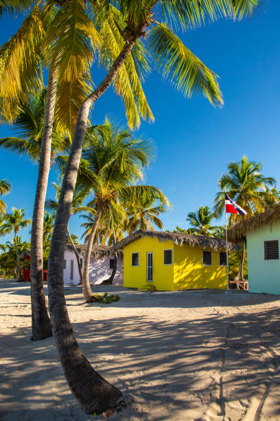 istock Catalina Island 1144773133
