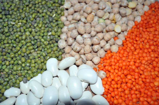 istock bean products - chick peas, beans, mung, lentils 1144781910