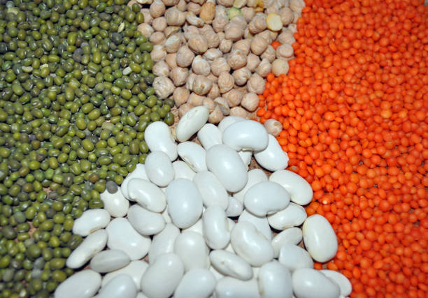 istock bean products - chick peas, beans, mung, lentils 1144781954