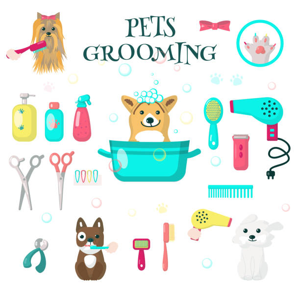 4,329 Dog Grooming Illustrations & Clip Art - iStock | Dog, Dog spa, Cat  grooming