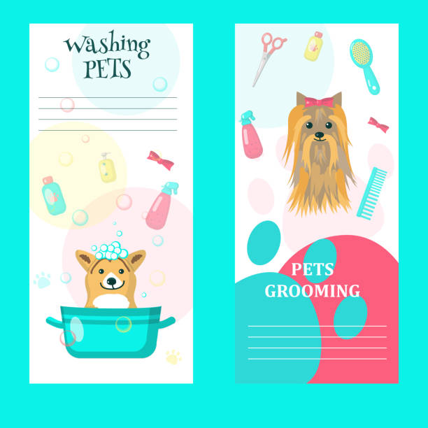 ilustrações de stock, clip art, desenhos animados e ícones de vector set of pet grooming salon cards - dog bathtub washing puppy