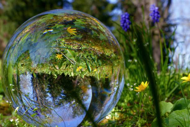 istock Crystal Ball with Flowers 1144783446