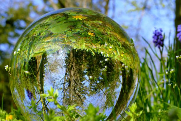 istock Crystal Ball with Flowers 1144783628