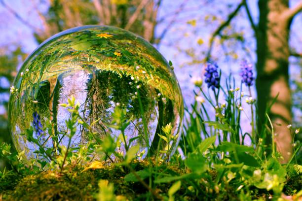 istock Crystal Ball with Flowers 1144784194