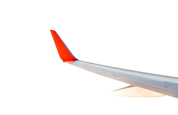 istock Airplane wing isolated on white background 1144784404