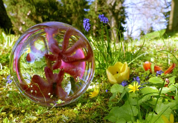 istock Crystal Ball with Flowers 1144784563
