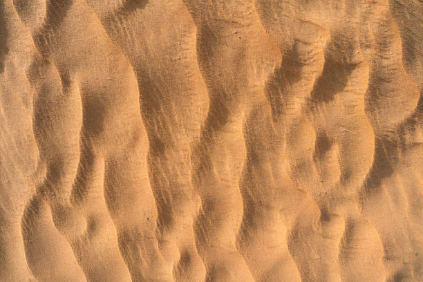 istock The pattern of the desert sand dunes 1144784735
