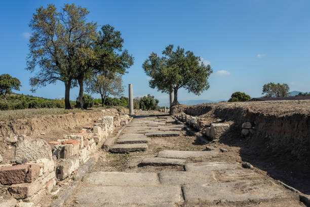 римская дорога в археологическом месте аполлона smintheion sanc - smintheus стоковые фото и изображения