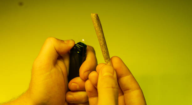 istock burning joint with marijuana in tha mans hands close-up. 1144792424