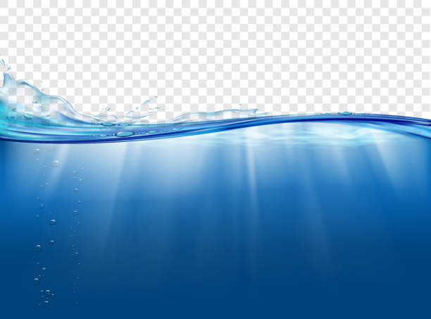 ilustraciones, imágenes clip art, dibujos animados e iconos de stock de paisaje submarino con rayos solares. fondo de superficie de agua. - superficie del agua