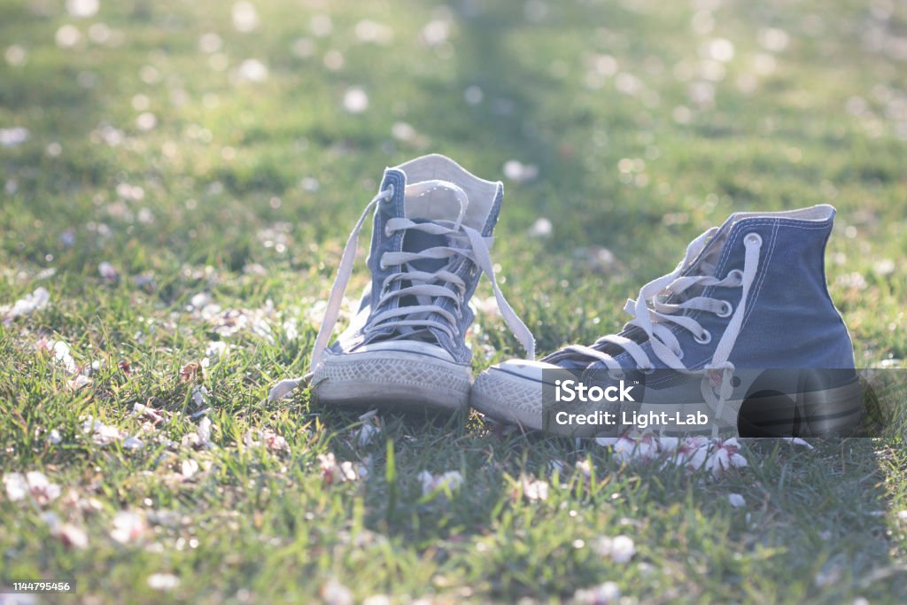 Converse Footwear Stock Photo - Download Image Now - 1980-1989, Blue,  Canvas Fabric - iStock