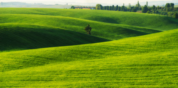 istock hilly field. spring hills. scenic agricultural field 1144796802