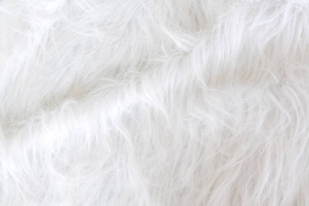 istock Close up white fur texture or carpet for background 1144801667