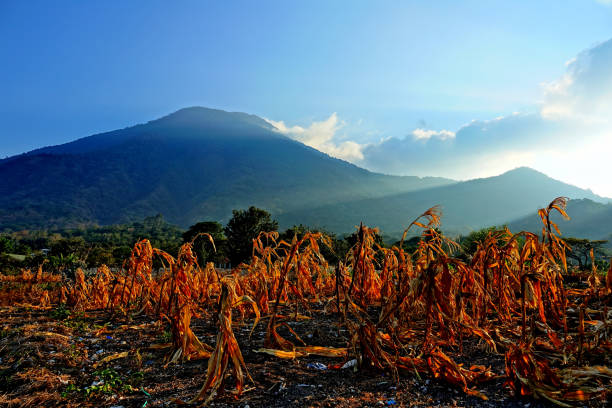 beautiful lake Atitlan Guatemala