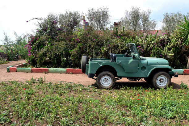 старый джип зеленый 4x4 классический авт�омобиль - obsolete military land vehicle antique old fashioned стоковые фото и изображения