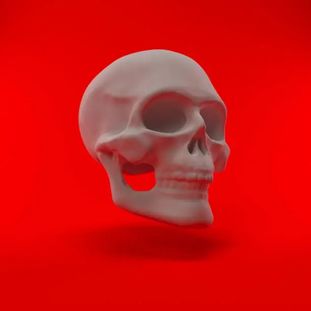 Photo of 3D Rendering Skull on Red Background