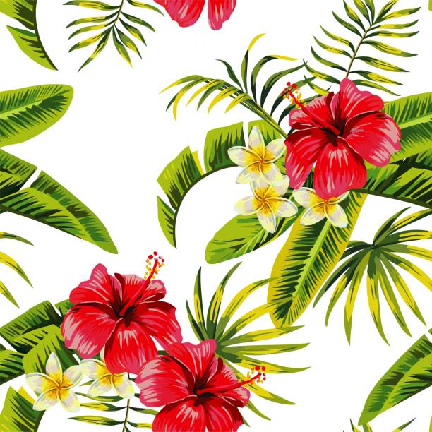ilustraciones, imágenes clip art, dibujos animados e iconos de stock de flores tropicales y patrones de plantas - hawaiian orchid