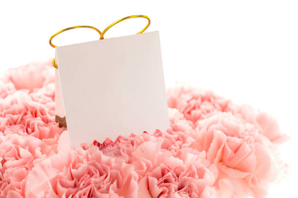 istock Mother's Day, carnations, pink carnations, 1144805909
