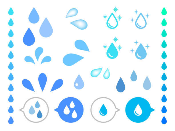 Different shape of realistic water drops vector on white background. vector art illustration