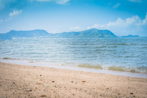 Tropical beach view. Calm and relaxing empty beach scene, blue sky and white sand. Tranquil nature concept