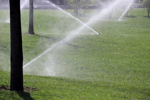istock Lawn watering, automatic sprinklers working on green grass 1144812419