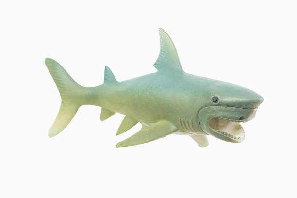 istock figure toy white shark isolated closeup image. 1144812766