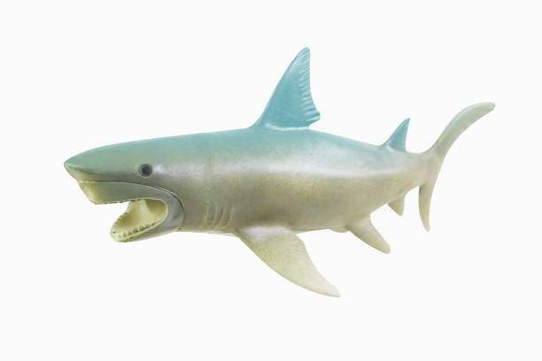 istock figure toy white shark isolated closeup image. 1144812781