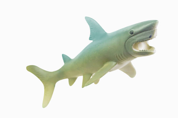 istock figure toy white shark isolated closeup image. 1144812958