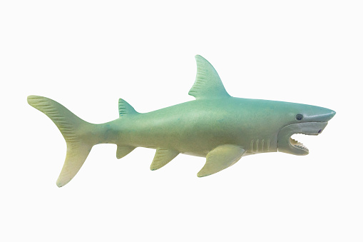 The figure toy white shark isolated closeup image.