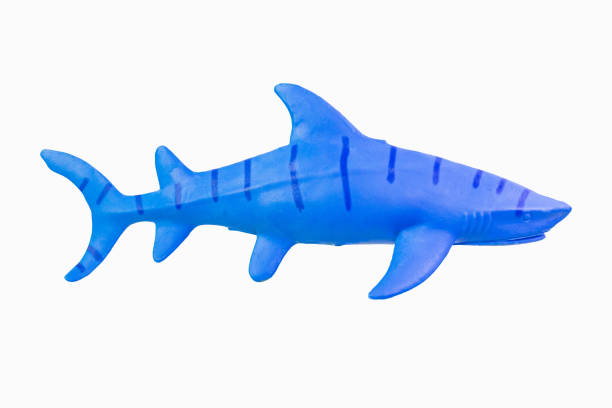 istock figure toy  shark isolated closeup image. 1144813648
