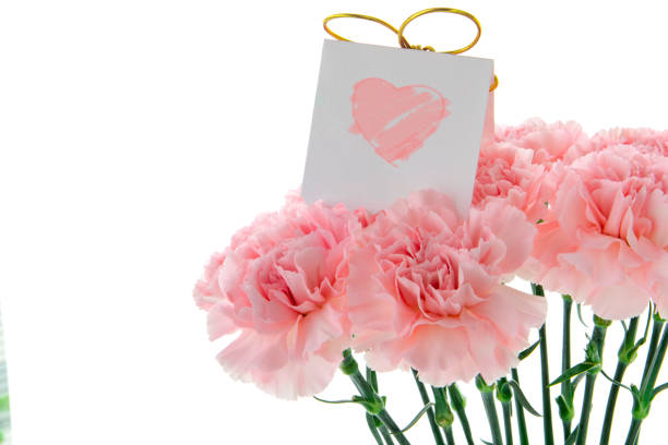 istock Mother's Day, carnations, pink carnations, 1144813652
