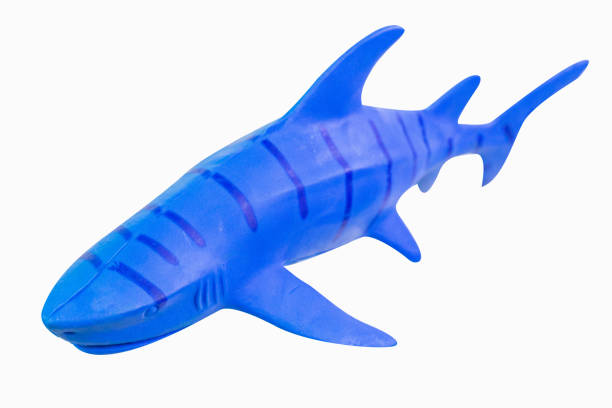 istock figure toy  shark isolated closeup image. 1144813661