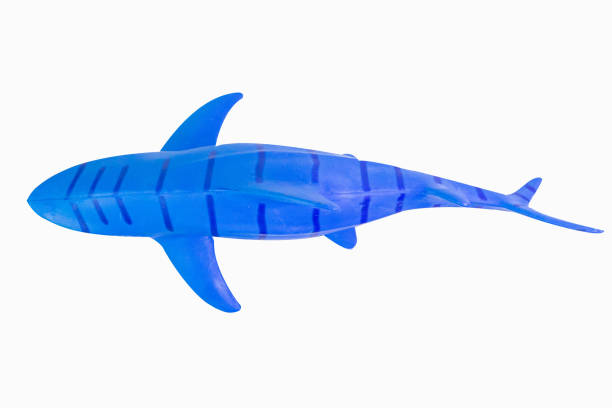 istock figure toy  shark isolated closeup image. 1144813662